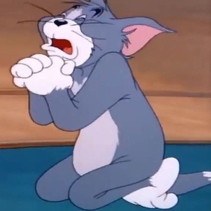 ảnh meme tom and jerry hài hước