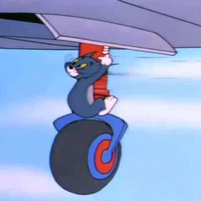 ảnh meme tom and jerry hài