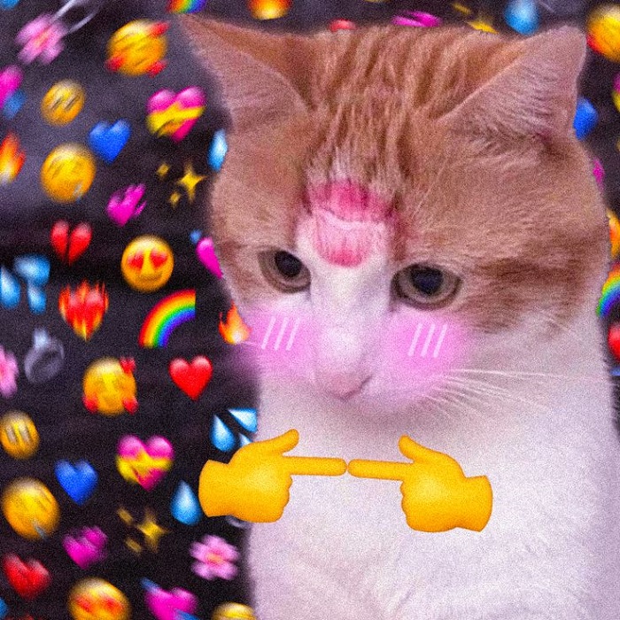 meme ngại đỏ mặt