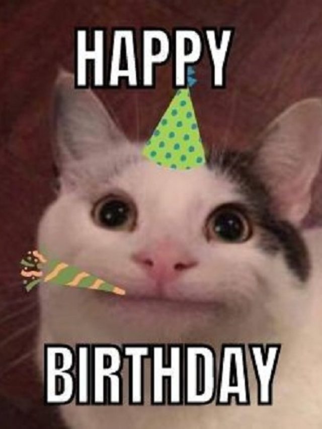 ảnh meme happy birthday xinh