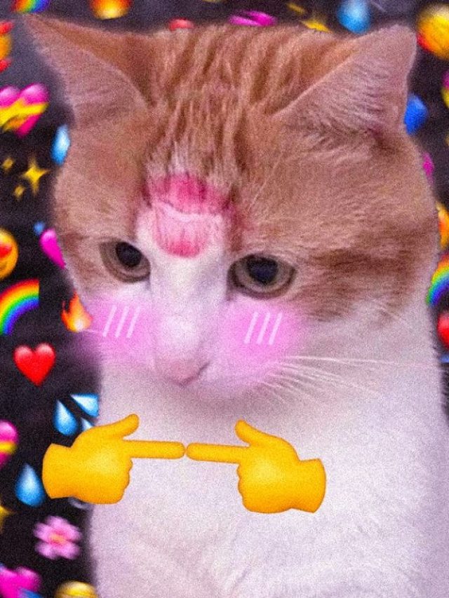 meme ngại đỏ mặt