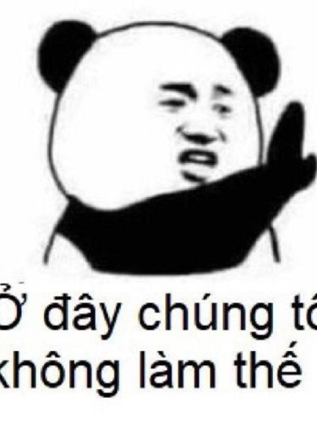 meme gấu trúc bựa nhất