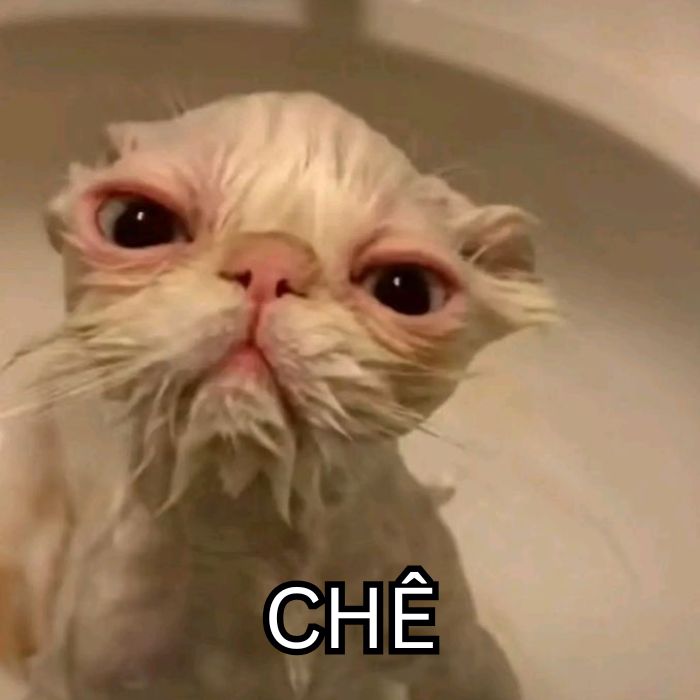 hình ảnh meme chê hài nhất