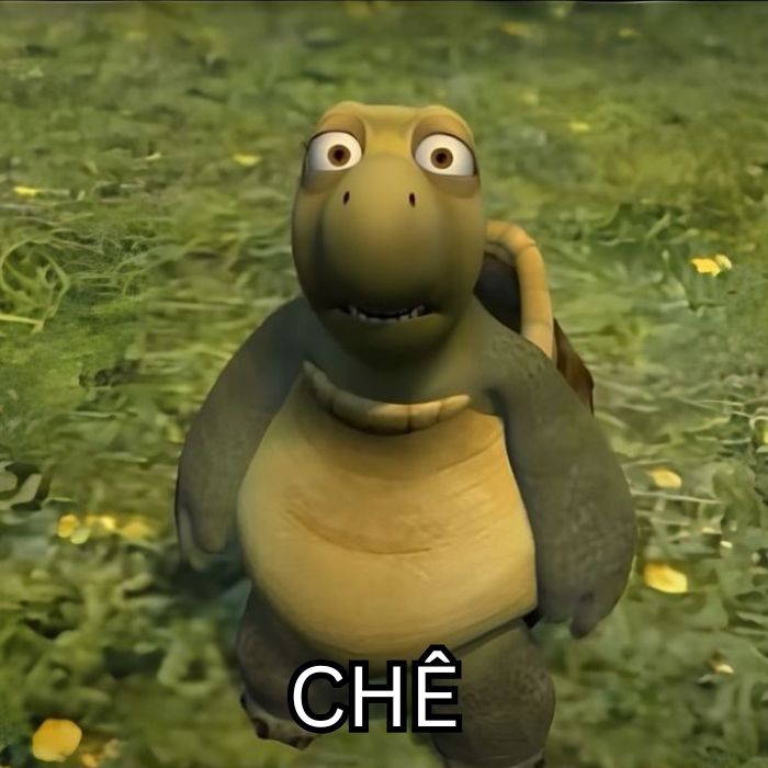 hình ảnh meme chê hài