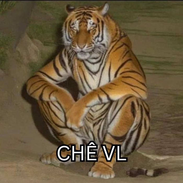 hình ảnh meme chê siêu hài