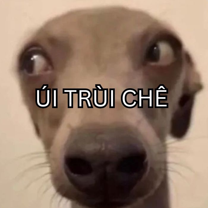 hình ảnh meme chê
