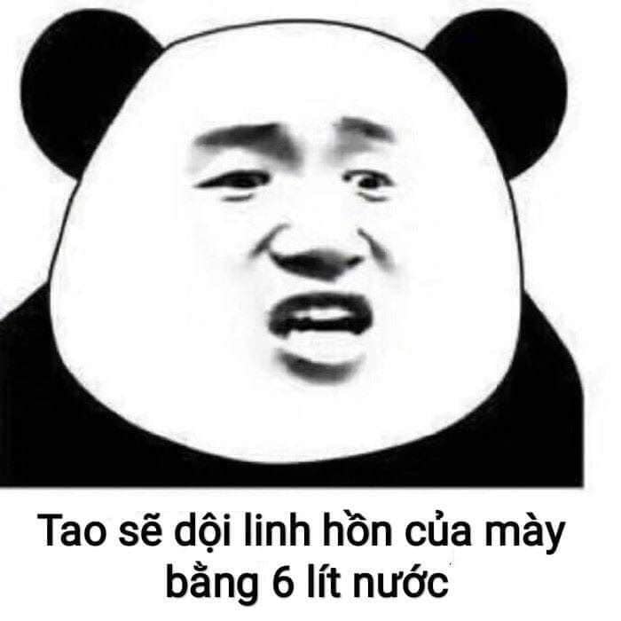 hịnh ảnh meme gấu trúc hài hước nhất