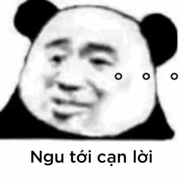 hịnh ảnh meme gấu trúc hài nhất