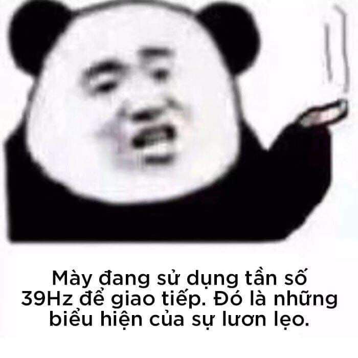 hịnh ảnh meme gấu trúc hài