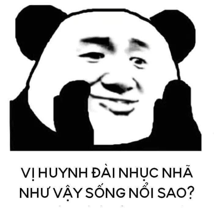 hịnh ảnh meme gấu trúc siêu hài
