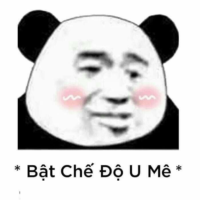 hịnh ảnh meme gấu trúc