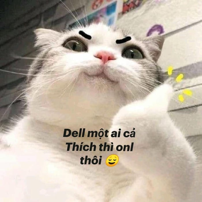 hình ảnh meme like đáng yêu