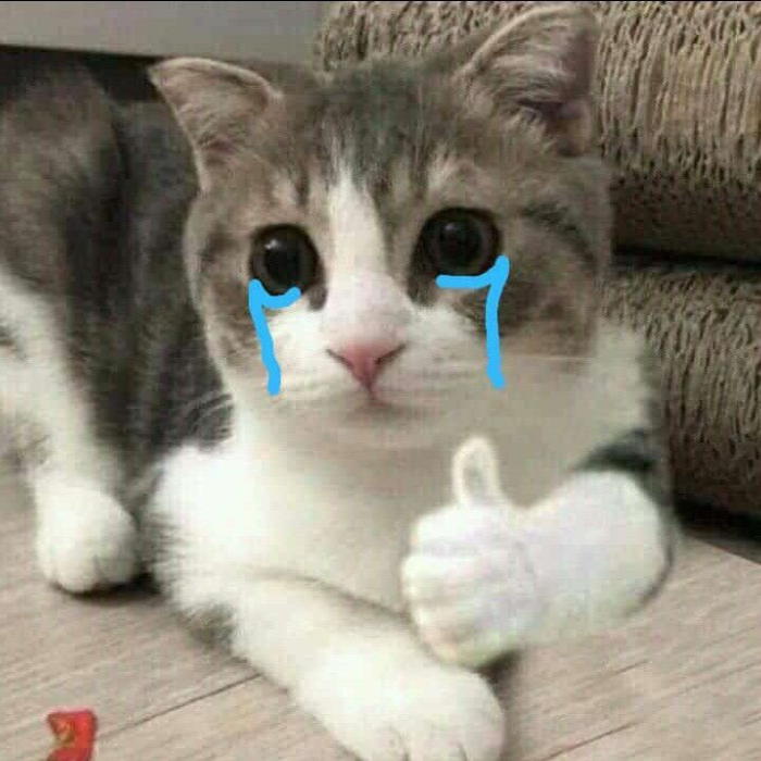hình ảnh meme like dễ thương