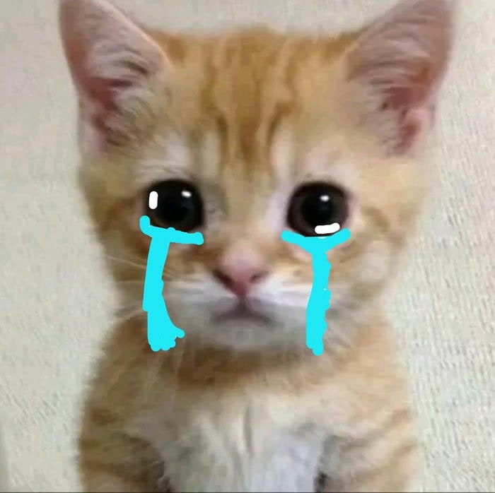 hình ảnh meme mèo khóc cực hài