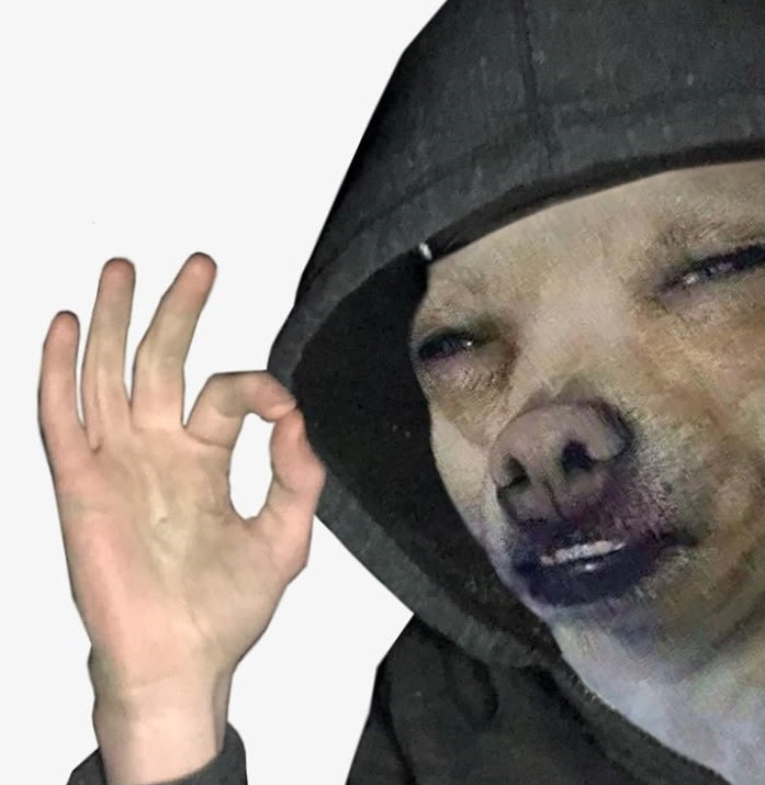 hình ảnh meme ok chó