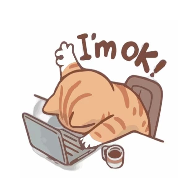 hình ảnh meme ok siêu hài