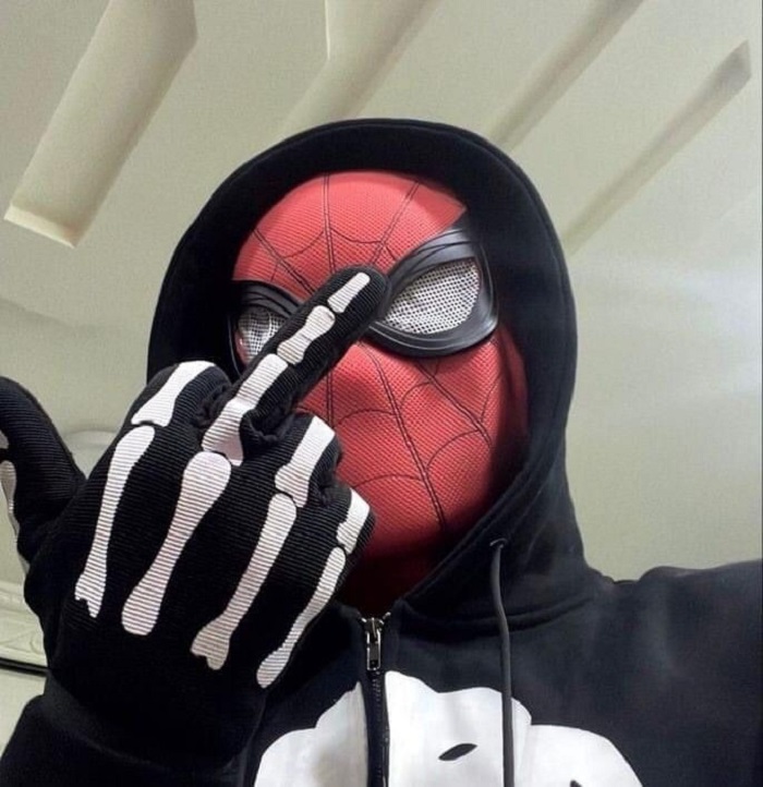 hình ảnh meme spiderman chế hài