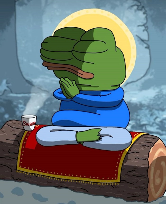 hình meme frog hài nhất