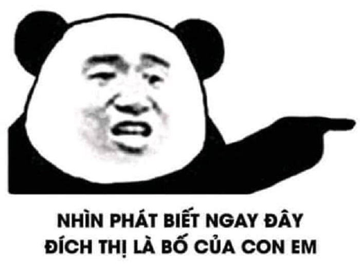 hịnh meme gấu trúc hài nhất