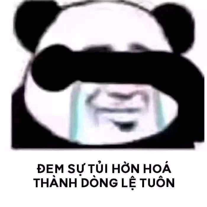 hịnh meme gấu trúc hài