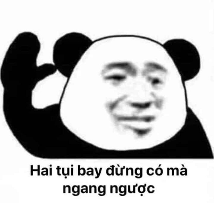 hịnh meme gấu trúc siêu hài