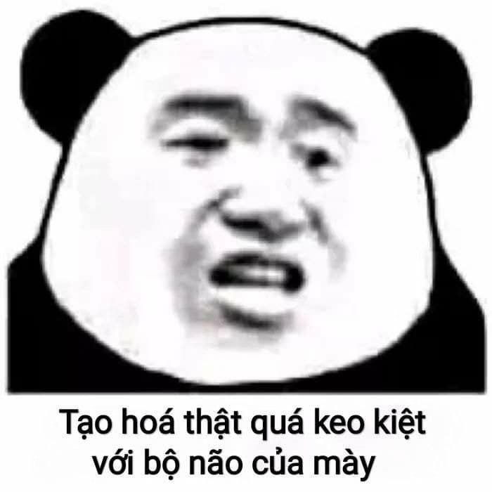 hịnh meme gấu trúc