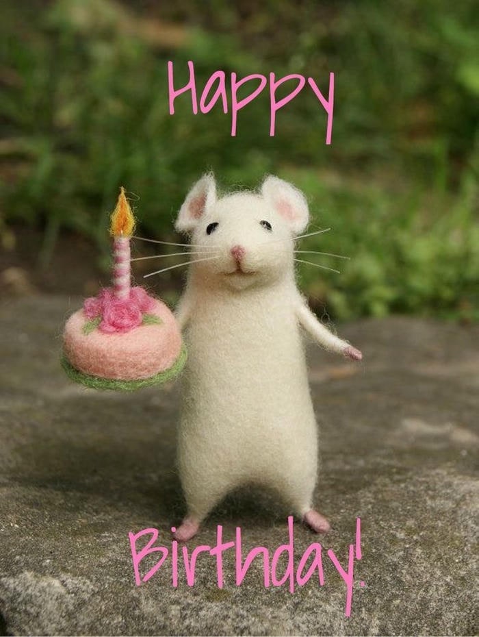 hình meme happy birthday chuột
