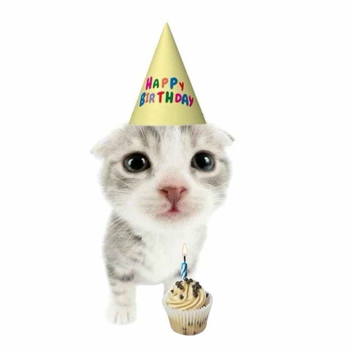 hình meme happy birthday cute