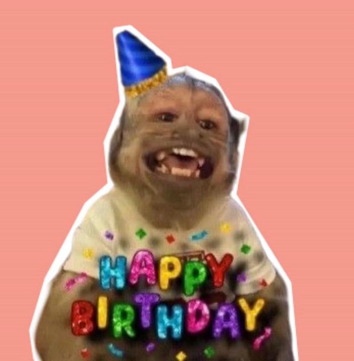 hình meme happy birthday khỉ