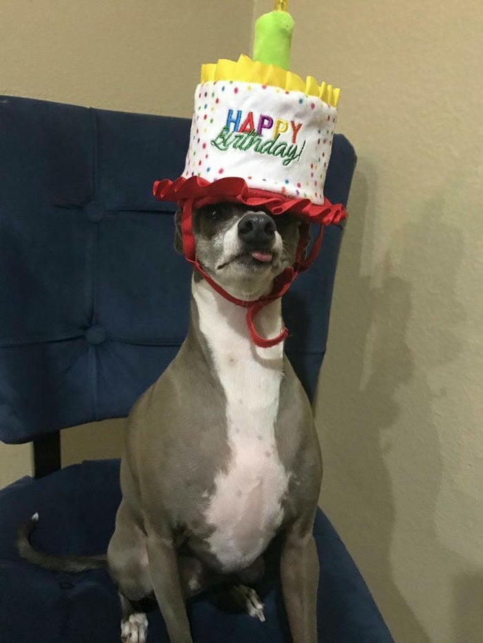 hình meme happy birthday siêu cute