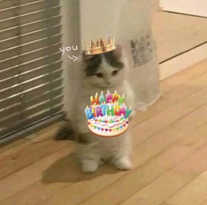 hình meme happy birthday siêu đẹp