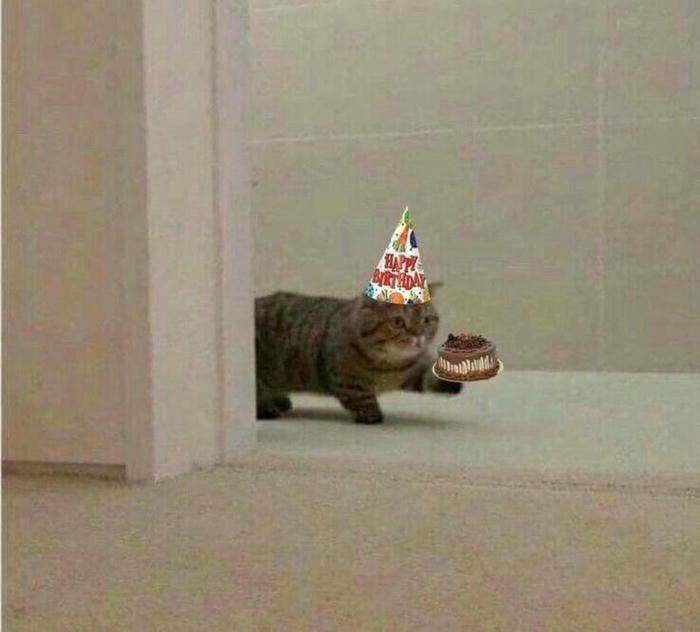 hình meme happy birthday