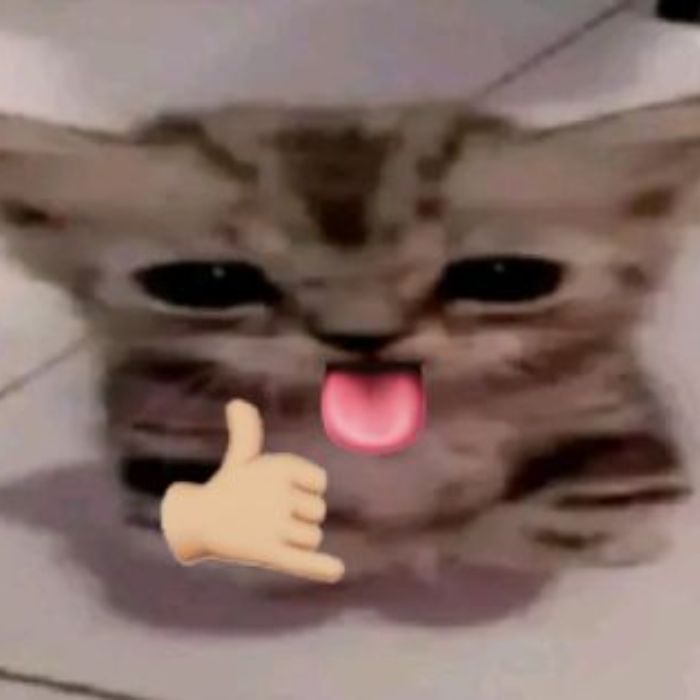 hình meme hello mèo