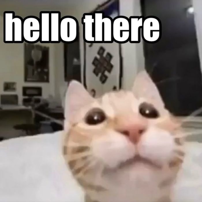 hình meme hello siêu xinh