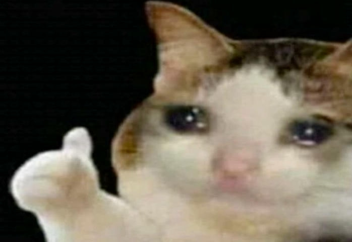 hình meme like mèo cute