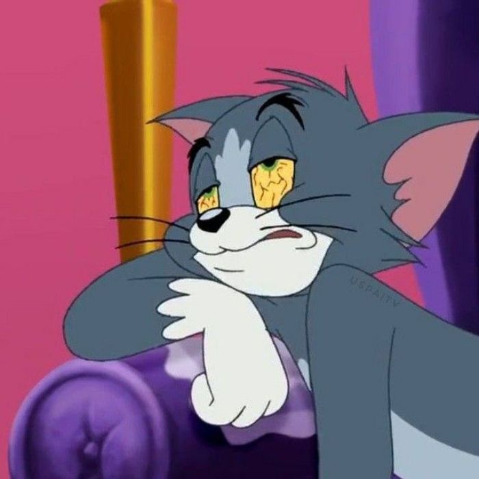 hình meme tom and jerry hài