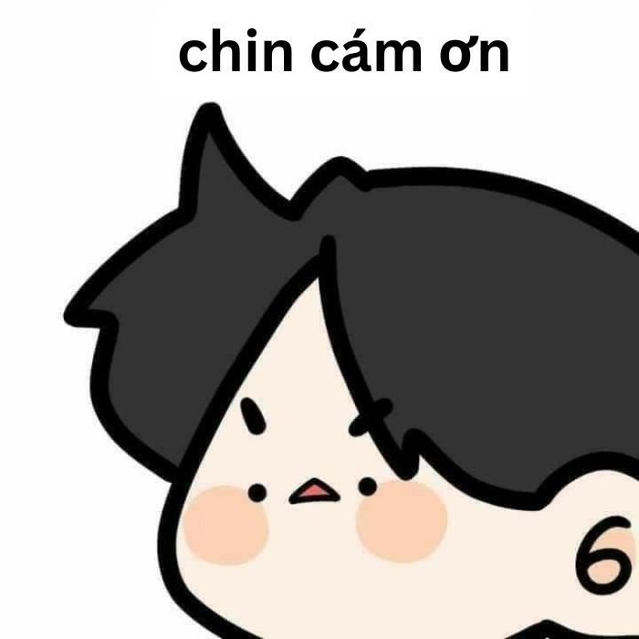 meme cảm ơn bựa nhất