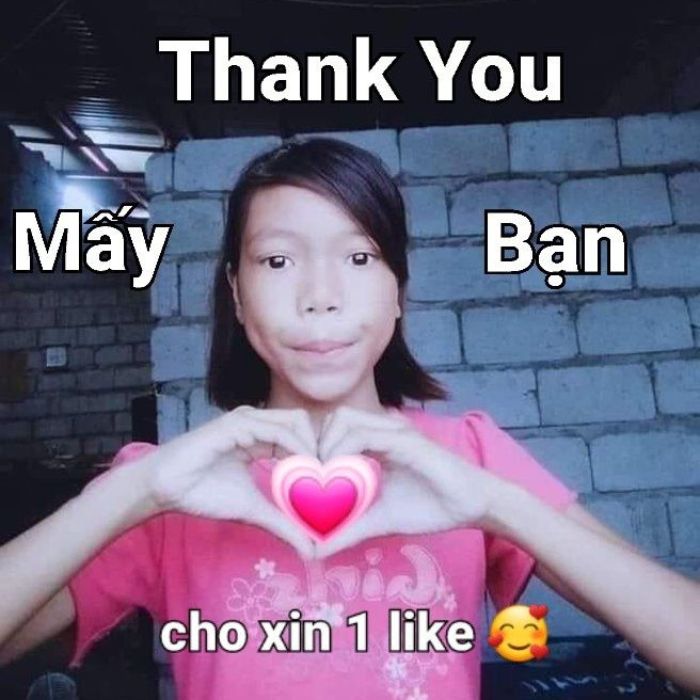meme cảm ơn chất