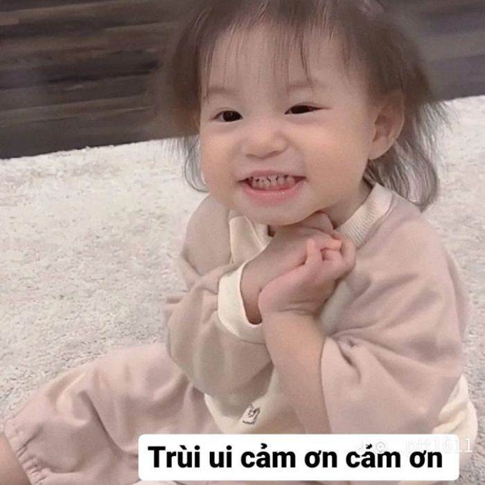 meme cảm ơn chế