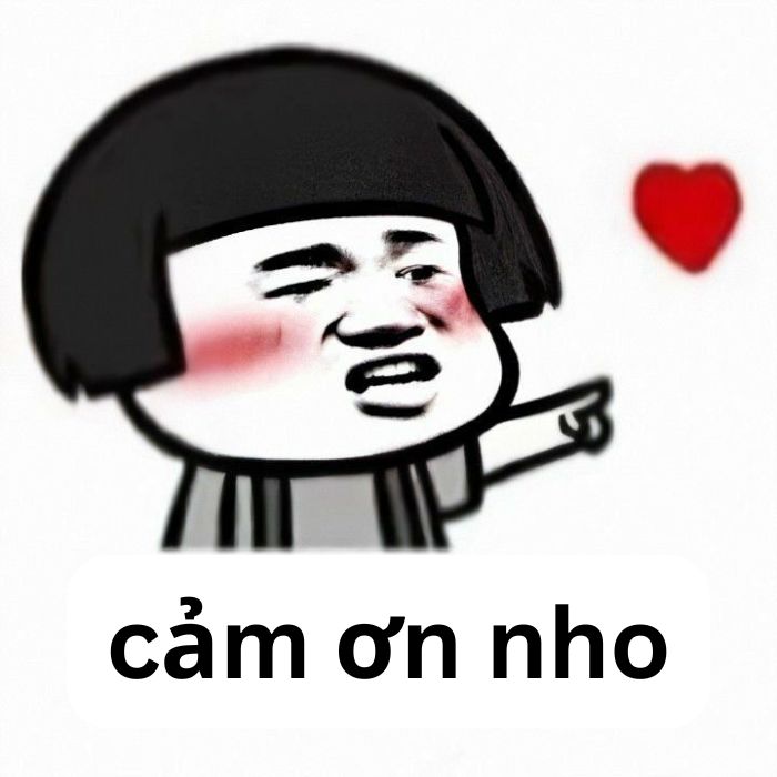 meme cảm ơn cực bựa
