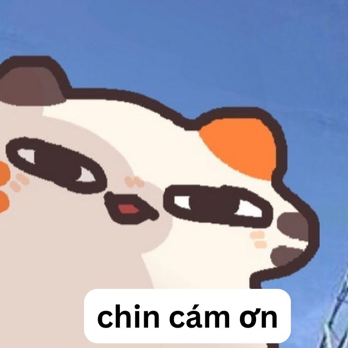 meme cảm ơn hài bựa