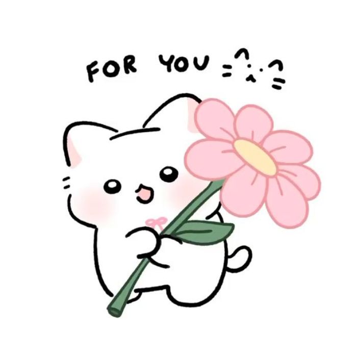 meme cảm ơn mèo cute