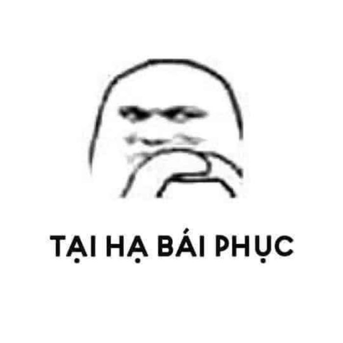 meme cảm ơn siêu bựa