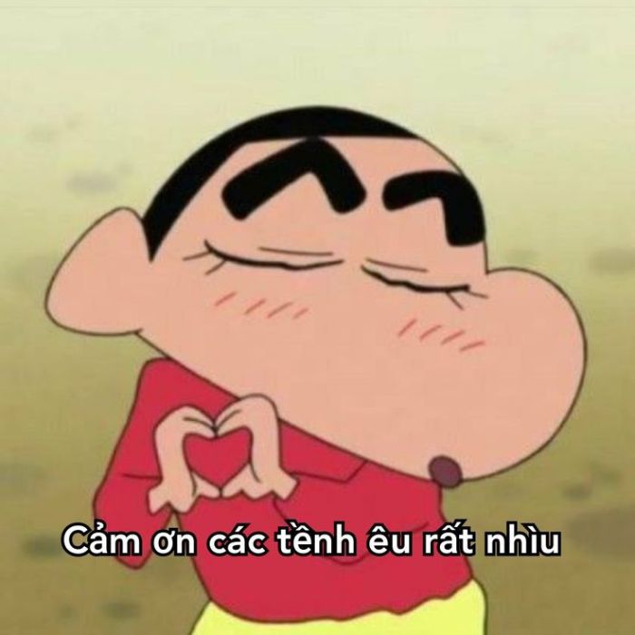 meme cảm ơn siêu hài