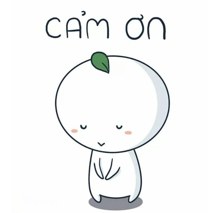 meme cảm ơn