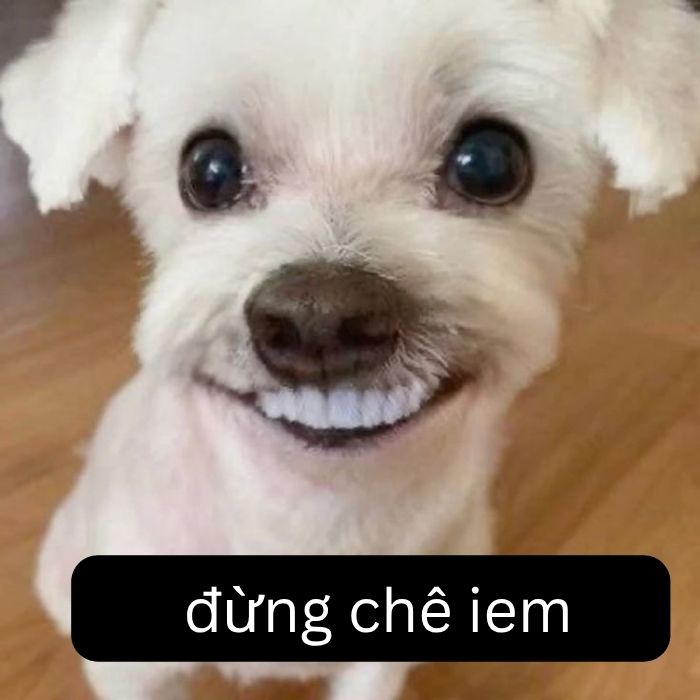 meme chê bựa nhất