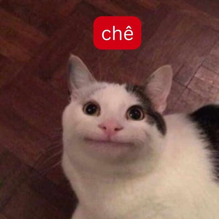 meme chê bựa