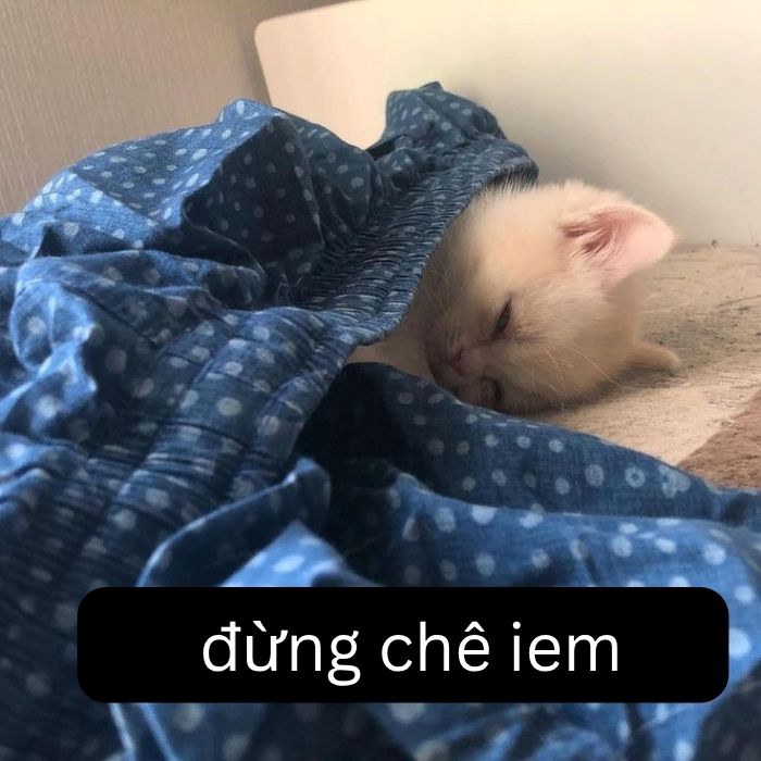 meme chê cực bựa