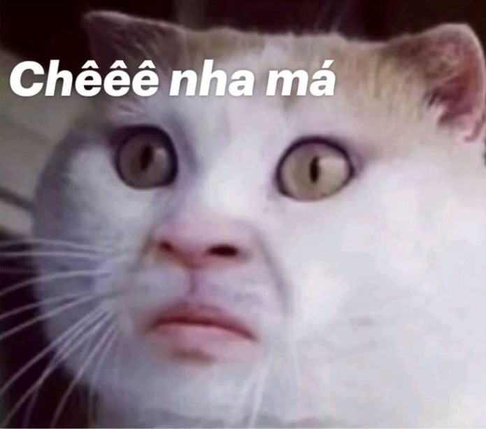 meme chê cực hài