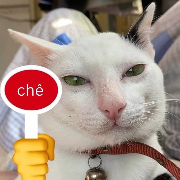 meme chê siêu bựa